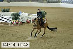 14r14_0048 proof