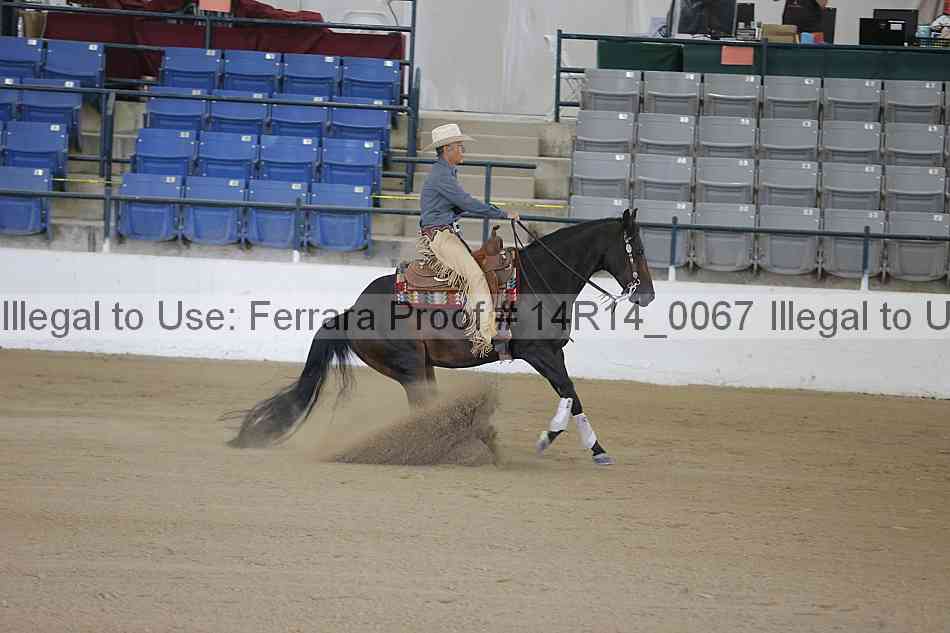 Proof 14r14_0067