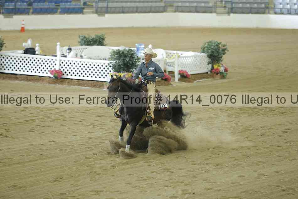 Proof 14r14_0076