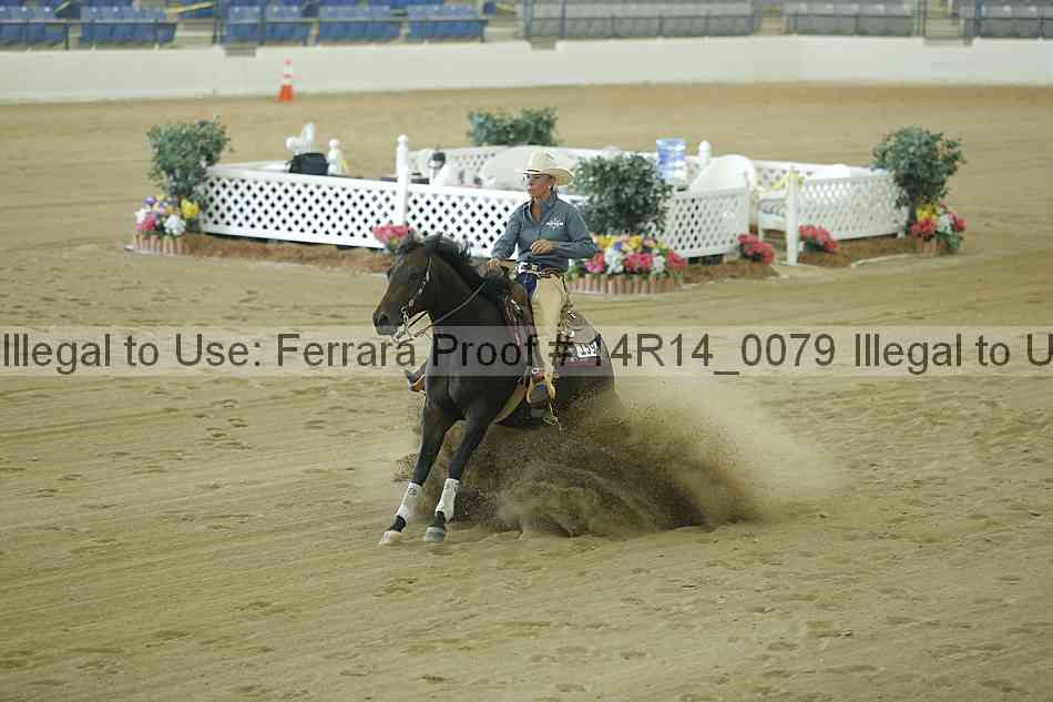 Proof 14r14_0079