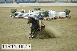 14r14_0079 proof