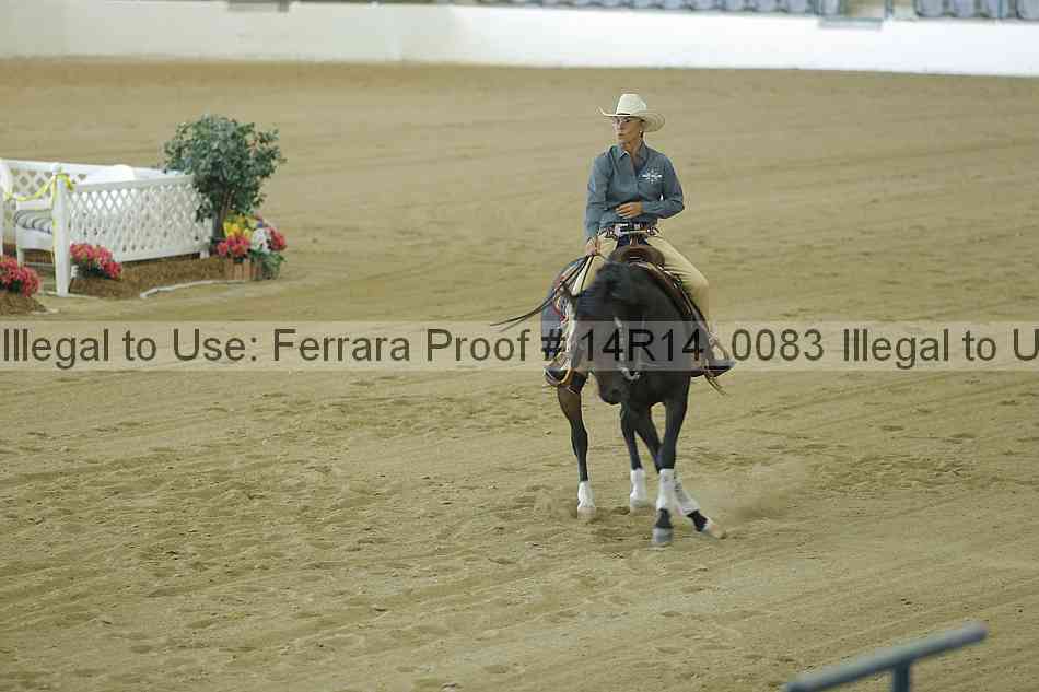 Proof 14r14_0083