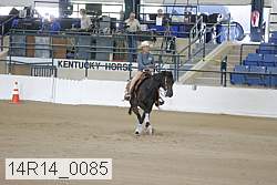 14r14_0085 proof