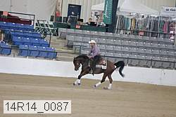 14r14_0087 proof