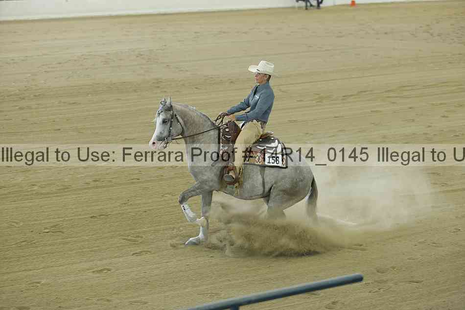 Proof 14r14_0145