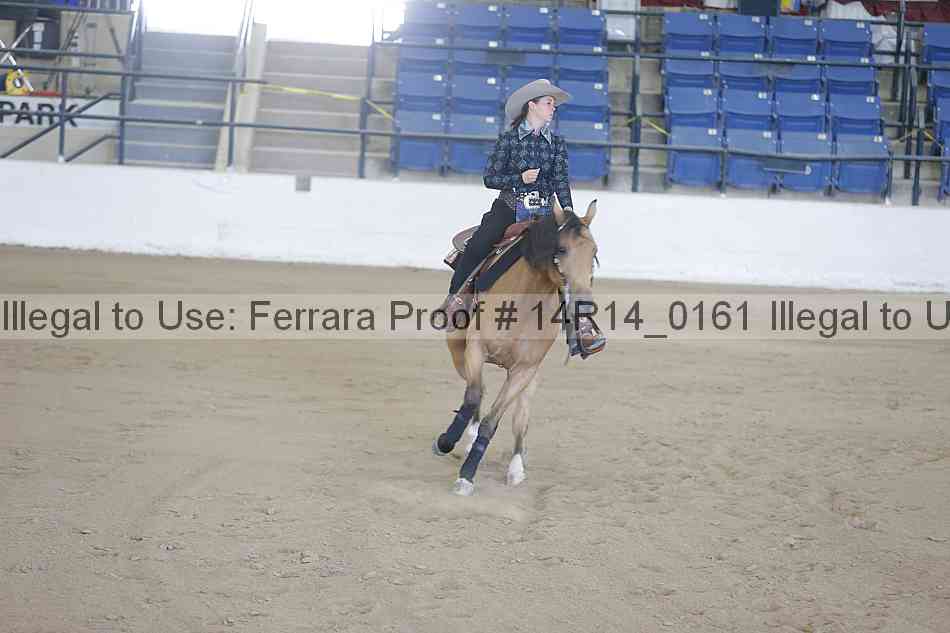 Proof 14r14_0161