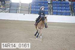 14r14_0161 proof