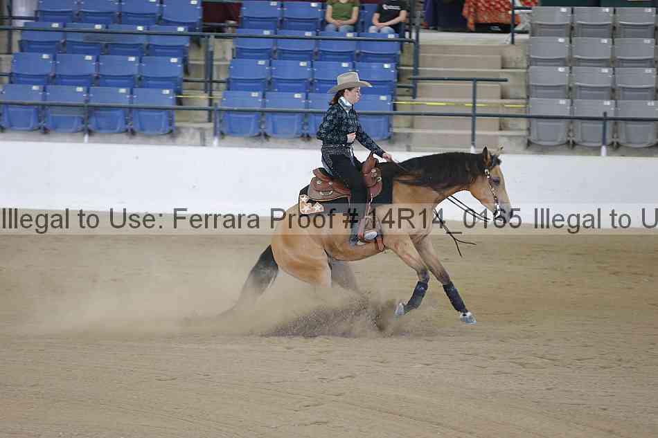 Proof 14r14_0165