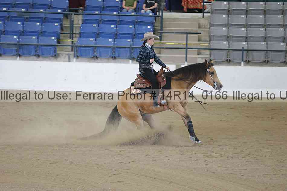 Proof 14r14_0166