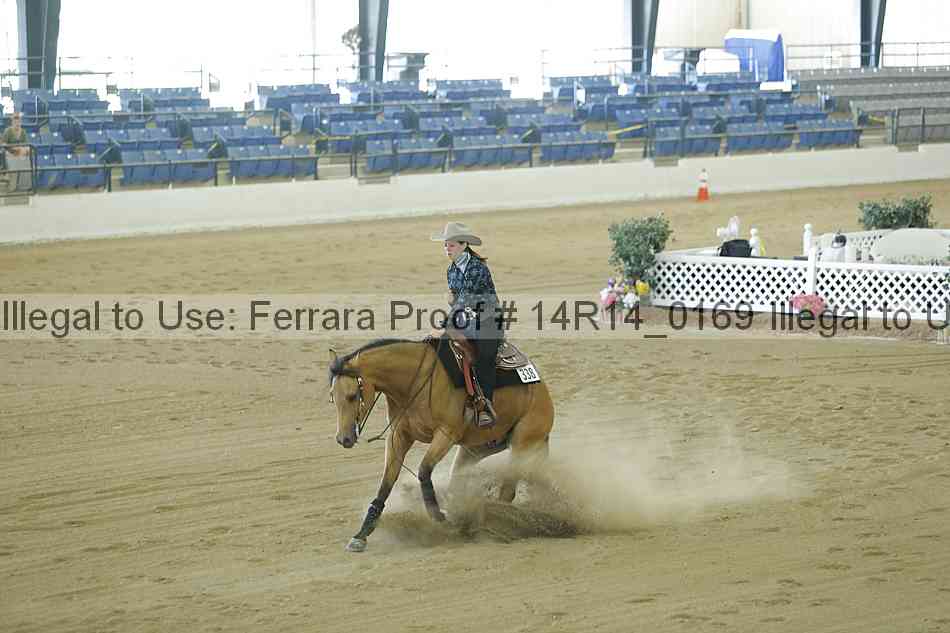 Proof 14r14_0169