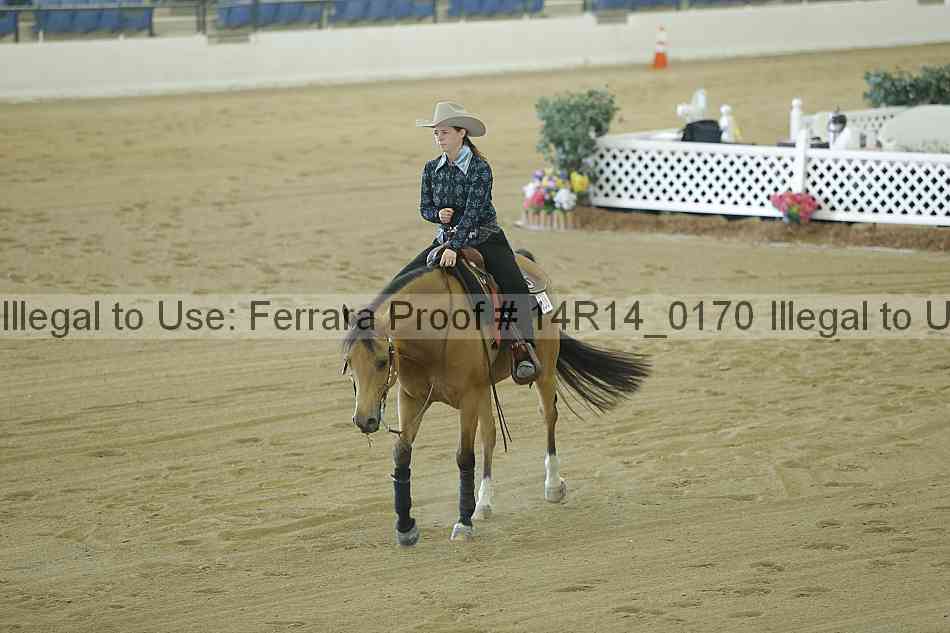 Proof 14r14_0170