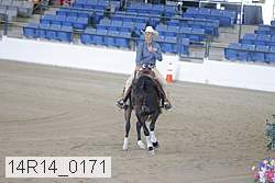 14r14_0171 proof
