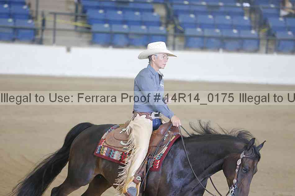 Proof 14r14_0175