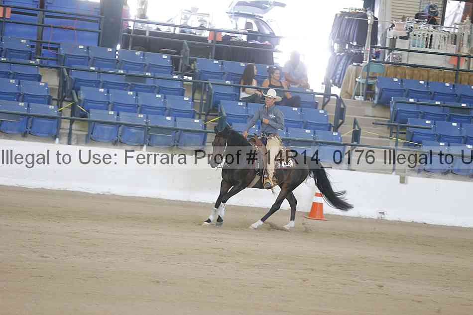 Proof 14r14_0176
