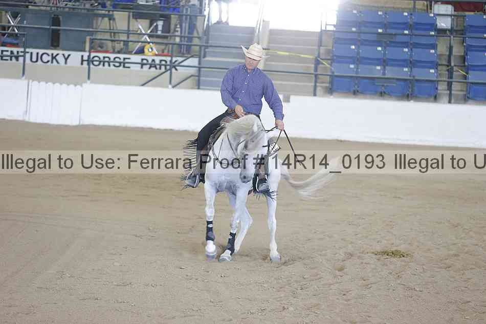 Proof 14r14_0193