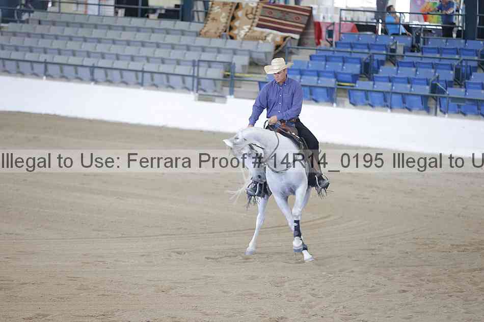 Proof 14r14_0195