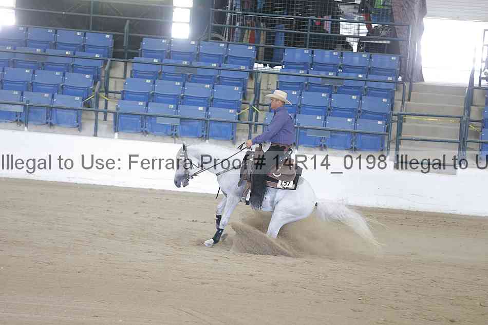 Proof 14r14_0198