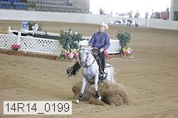 14r14_0199 proof