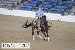 14r14_0207 proof