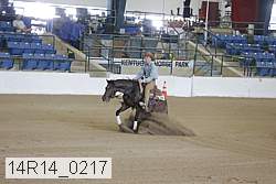 14r14_0217 proof