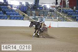 14r14_0218 proof