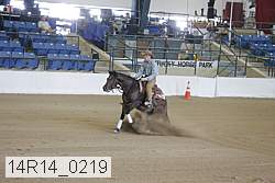 14r14_0219 proof