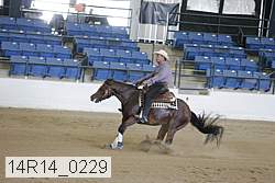 14r14_0229 proof