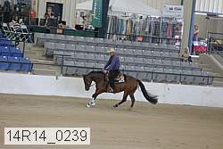 14r14_0239 proof