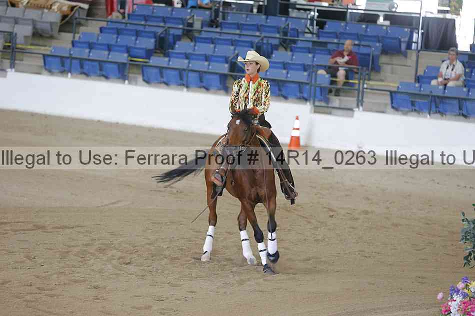 Proof 14r14_0263