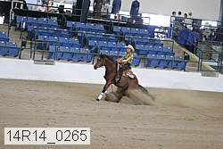 14r14_0265 proof