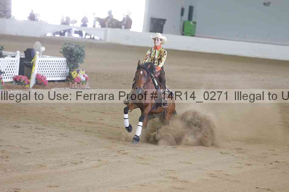 Proof 14r14_0271