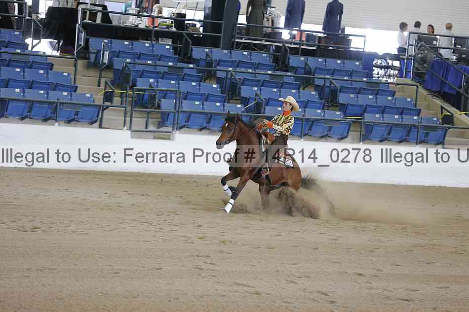 Proof 14r14_0278