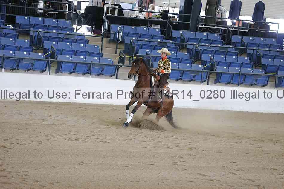 Proof 14r14_0280