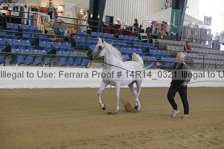 Proof 14r14_0321