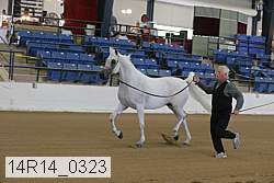 14r14_0323 proof