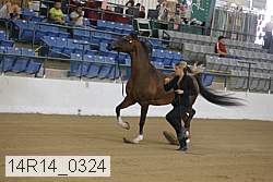 14r14_0324 proof