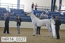 14r14_0327 proof
