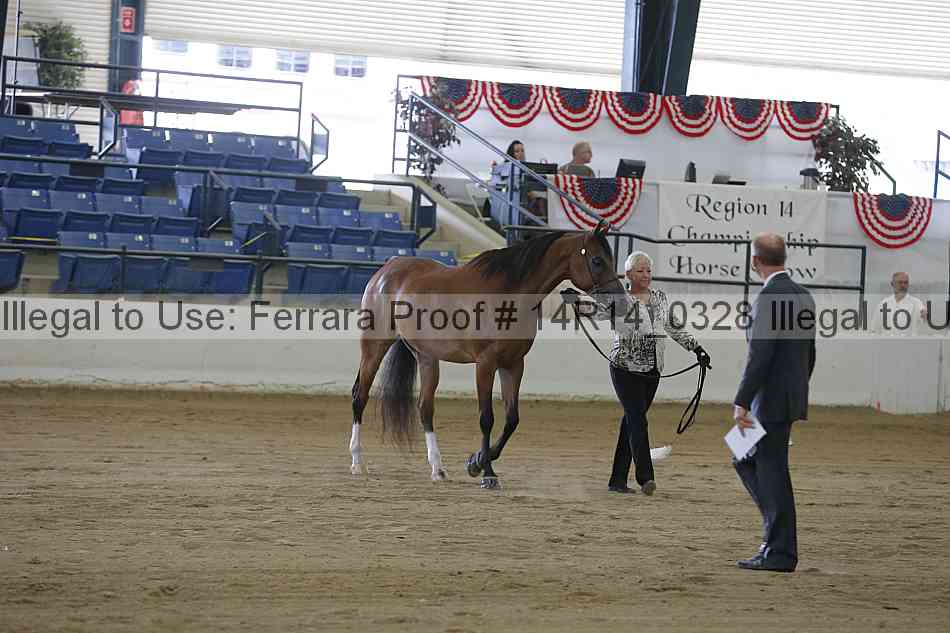 Proof 14r14_0328