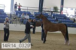 14r14_0329 proof