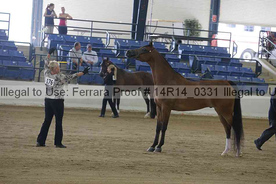 Proof 14r14_0331