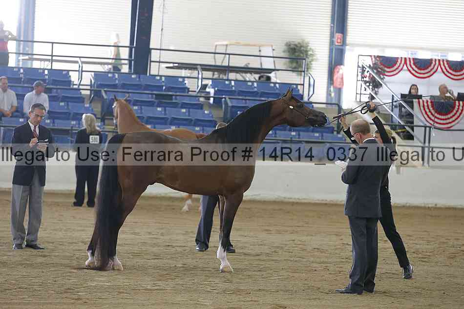 Proof 14r14_0337