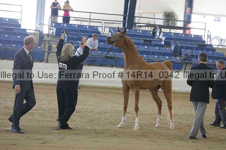 Proof 14r14_0342