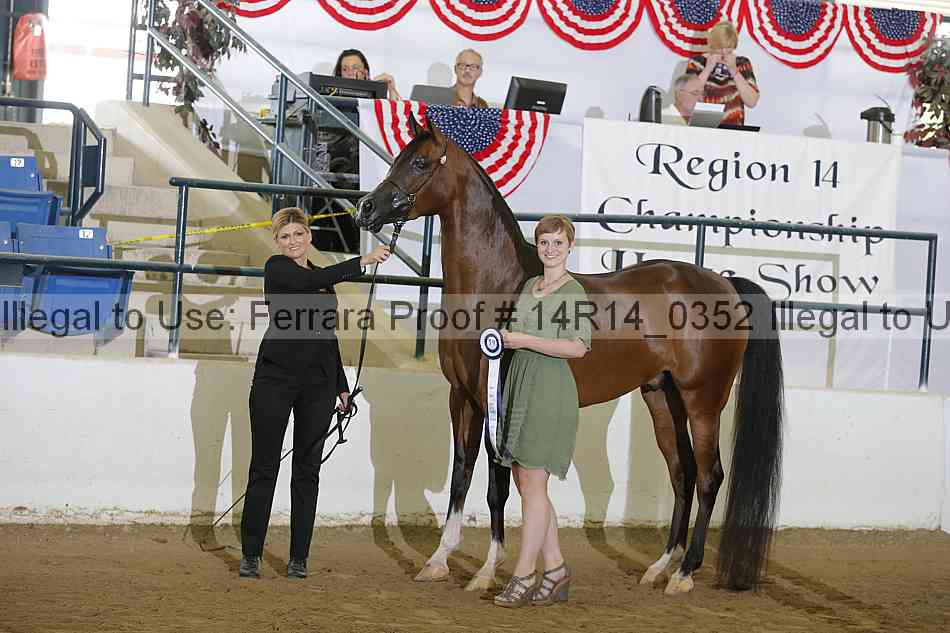 Proof 14r14_0352