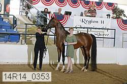 14r14_0353 proof