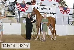 14r14_0357 proof