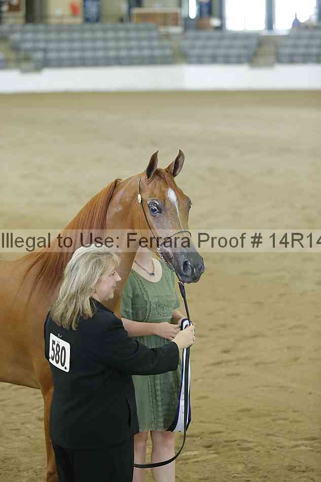 Proof 14r14_0359