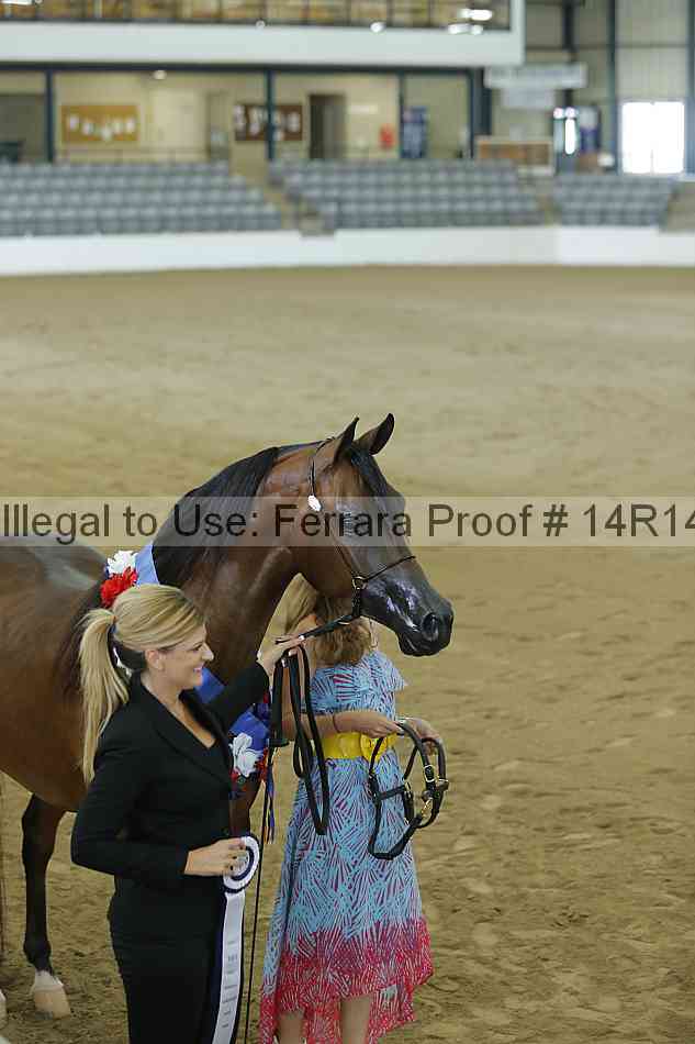 Proof 14r14_0366