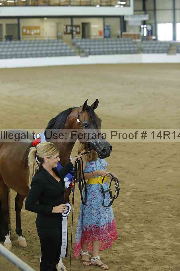 Proof 14r14_0367