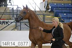 14r14_0377 proof