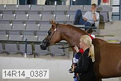 14r14_0387 proof